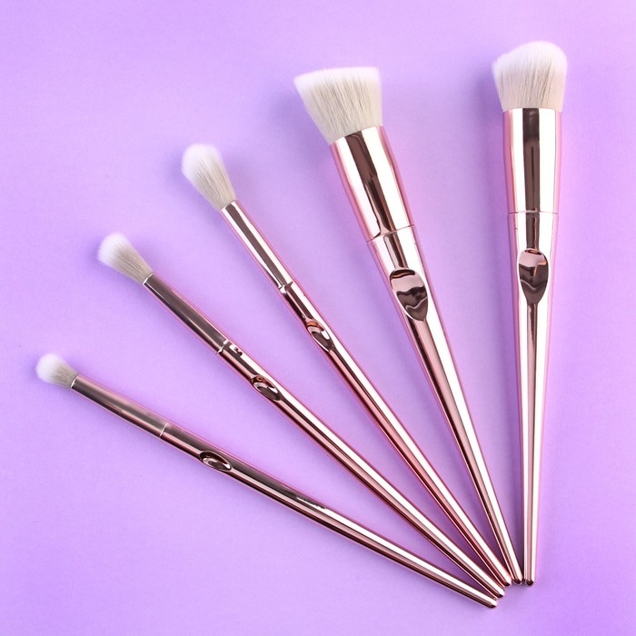 Набор кистей для макияжа «Нежность», 5 шт, 19 × 8 см, BEAUTY FOX Набор кистей для макияжа «Нежность», 5 шт, 19 × 8 см, BEAUTY FOX