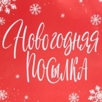 Пакет подарочный новогодний ламинированный квадратный &laquo;Новогодняя посылка&raquo;, 30 х 30 х 12 см, Новый год