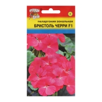 Семена цветов Пеларгония "БРИСТОЛЬ ЧЕРРИ", F1, 5,6 шт Семена цветов Пеларгония "БРИСТОЛЬ ЧЕРРИ", F1, 5,6 шт