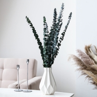 Сухоцвет &laquo;Эвкалиптовое дерево&raquo;, зелёный, 10 шт. в упаковке