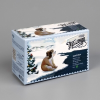 Гирлянда &laquo;Бахрома&raquo; 1.8 &times; 0.5 м, IP20, прозрачная нить, 48 LED, свечение зелёное, 8 режимов, 220 В