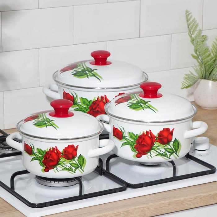 Набор эмалированных кастрюль &laquo;Андорра-1&raquo;, 3 предмета: 1,5 л, 2,3 л, 3 л, индукция