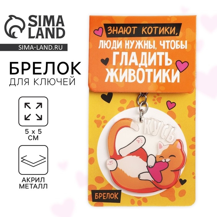 Брелок для ключей акриловый &laquo;Знают котики&raquo;, 10 х 5 см
