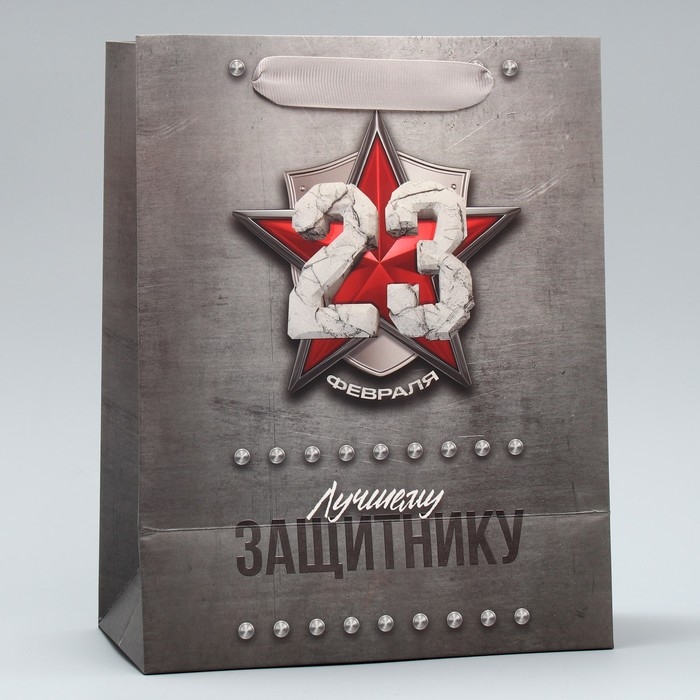 Пакет подарочный ламинированный вертикальный, упаковка, &laquo;Защитнику&raquo;, ML 23 х 27 х 11.5 см