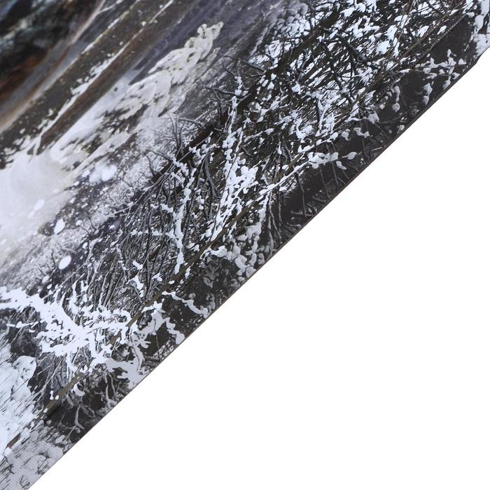 Картина на холсте "Схватка зверей" 60х100 см