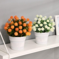 Бонсай в горшке "Астра с остролистом" 10х20 см, микс Бонсай в горшке "Астра с остролистом" 10х20 см, микс