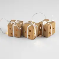 Светодиодная гирлянда Boxing Day Светодиодная гирлянда Boxing Day