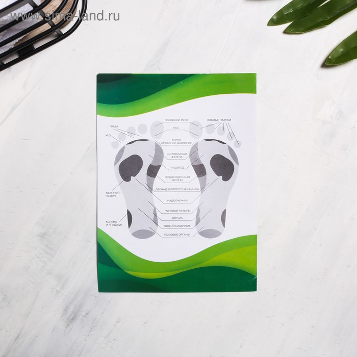 Массажный коврик, массажер для ног «Эко», 33 х 37 см Массажный коврик, массажер для ног «Эко», 33 х 37 см