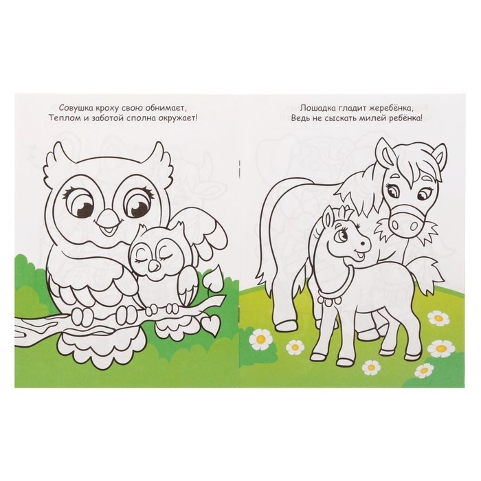 Раскраски &laquo;Для девочек&raquo;, набор 8 шт. по 12 стр.