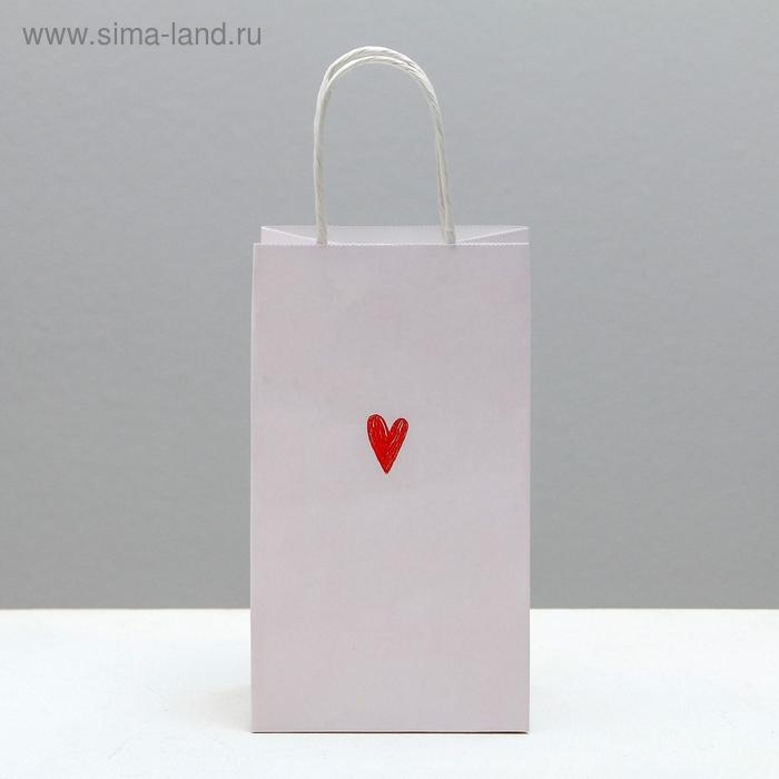 Пакет подарочный крафтовый, упаковка, &laquo;Просто Лю&raquo;, 12 х 21 х 9 см