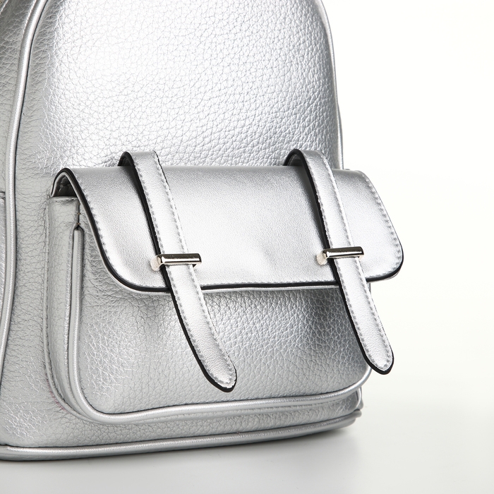 Рюкзак городской на молнии, цвет серебряный Рюкзак городской на молнии, цвет серебряный