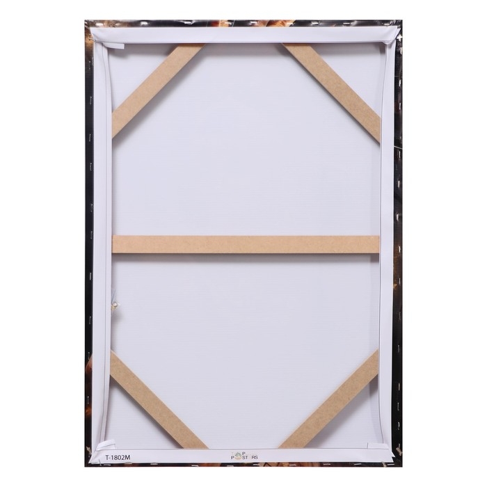 Картина на холсте Картина на холсте "Адсила-рассвет", 50*70 см