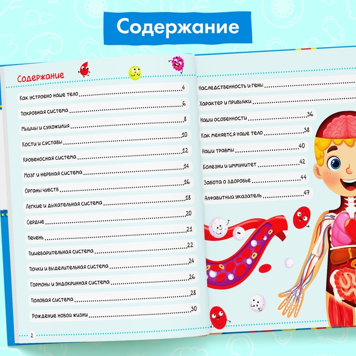 Энциклопедия в твёрдом переплёте «Тело человека», 48 стр. Энциклопедия в твёрдом переплёте «Тело человека», 48 стр.