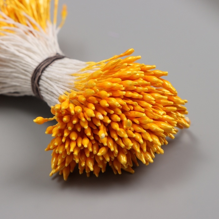 Тычинки для искусственных цветов глянец Тычинки для искусственных цветов глянец "Рисинки" светло-оранжевый набор 360 шт длина 6 см 10705