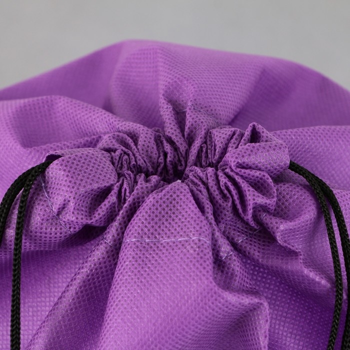 Мешок для обуви &laquo;Волшебная девочка с питомцем&raquo; нетканное полотно, размер 30 х 40 см