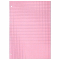 Сменный блок д/тетради на кольцах А4 120л, BRAUBERG, клетка, 4цв*30л 404519 Сменный блок д/тетради на кольцах А4 120л, BRAUBERG, клетка, 4цв*30л 404519