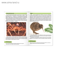 Мини-энциклопедии &laquo;Мир животных&raquo;, набор 6 шт. по 20 стр.