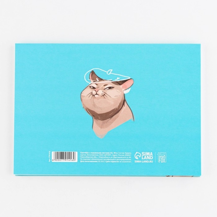 Скетчбук с отрывными листами &laquo;Кото-скетчбук&raquo; А5, 40 листов, мягкая обложка, плотность бумаги 100 гр