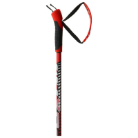 Комплект лыжный: пластиковые лыжи 200 см без насечек, стеклопластиковые палки 160 см, крепления NN75 мм, цвета МИКС Комплект лыжный: пластиковые лыжи 200 см без насечек, стеклопластиковые палки 160 см, крепления NN75 мм, цвета МИКС