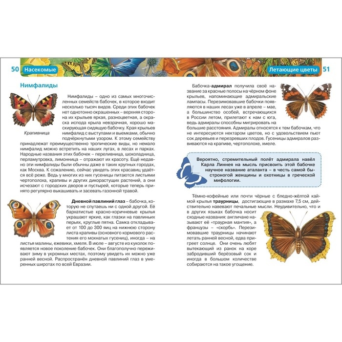 Детская энциклопедия &laquo;Насекомые&raquo;