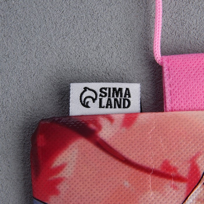 Мешок для обуви &laquo;Школьницы&raquo; полиэстер, размер 30 х 40 см