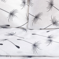 Постельное белье Этель 2 сп &laquo;Легкость ветра&raquo; 175*215см,200*220см,70*70см-2 шт