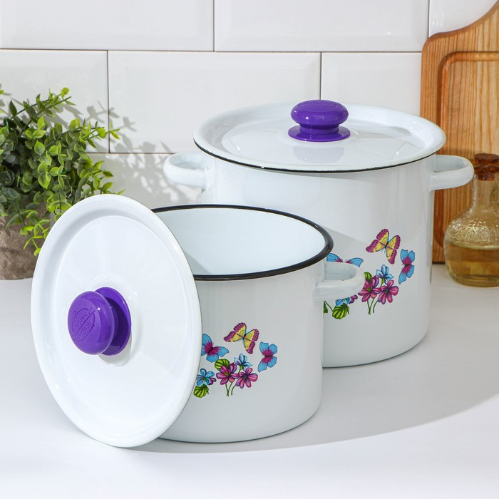 Набор кастрюль &laquo;Фиалка&raquo;, 2 предмета: 3.5 л, 5.5 л, индукция, цвет МИКС