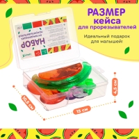 Набор &laquo;Охлаждающие прорезыватели для зубов&raquo;, пищевой силикон, в кейсе, 3 шт.
