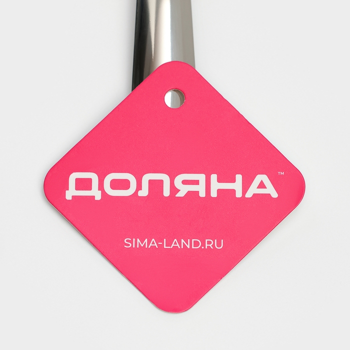 Ложка для соуса из нержавеющей стали Доляна Everyday, 40 мл, 29,5&times;8,5 см, толщина 3 мм, цвет серебряный