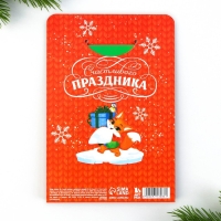 Подарочный набор новогодний, блокнот,наклейки 2 л и магнитные закладки 2 шт &laquo;Чудесный набор&raquo;