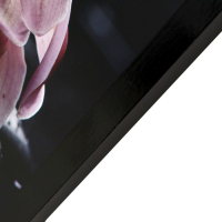 Картина "Цветы на камнях" 67х107 см рамка микс Картина "Цветы на камнях" 67х107 см рамка микс