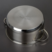 Кастрюля &laquo;Альта&raquo;, 4.2 л, d=22 см, капсульное дно, индукция