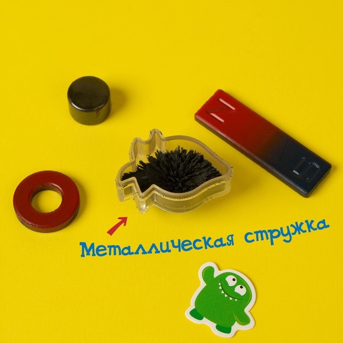 Набор для опытов &laquo;Опыты с магнитами&raquo;, 6 опытов