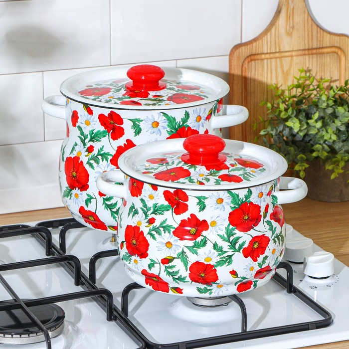 Набор кастрюль &laquo;Маки сибирские&raquo;, 2 предмета: 4 л, 5.5 л, эмалированные крышки, индукция