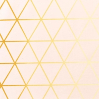 Фартук "Этель" Real Beauty 60х70см, 100% хлопок,саржа 190 гр/м2