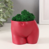 Кашпо бетонное "Невинный вид" высота 6,5см, ширина 8,5см винный со мхом (мох зелен. стабилиз 1041207 Кашпо бетонное "Невинный вид" высота 6,5см, ширина 8,5см винный со мхом (мох зелен. стабилиз 1041207