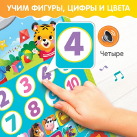 Обучающий плакат &laquo;Первые знания&raquo;, со звуком, работает от батареек