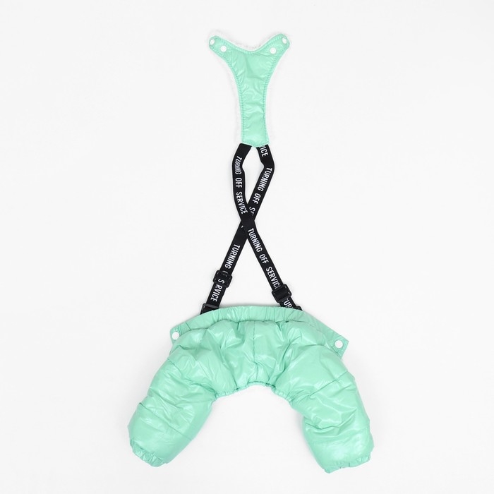 Комбинезон-штаны для собак,  размер XS (ДС 26, ОТ 28 см), мятный