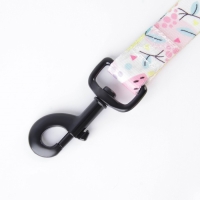 Поводок «Сочное настроение», 2.5 см, 2 м Поводок «Сочное настроение», 2.5 см, 2 м