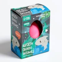 Растущие животные в яйце «Акула» МИКС Растущие животные в яйце «Акула» МИКС