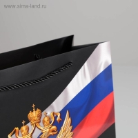Пакет подарочный, упаковка, &laquo;Россия&raquo;, 32 х 26 х 12 см