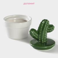 Банка для хранения сыпучих продуктов Доляна &laquo;Кактус&raquo;, 170 мл, 8&times;8&times;12 см, керамическая