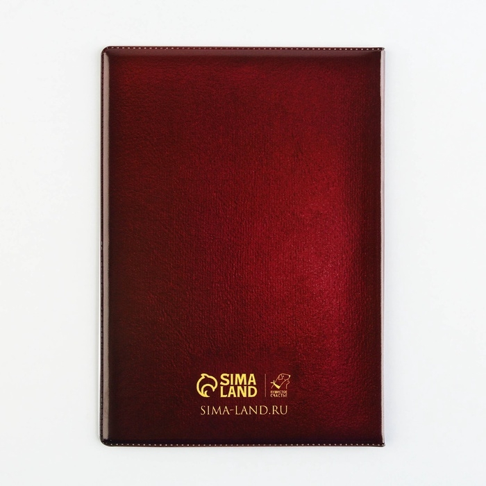 Обложка на ветеринарный паспорт &laquo;Как у хозяина&raquo;, ПВХ