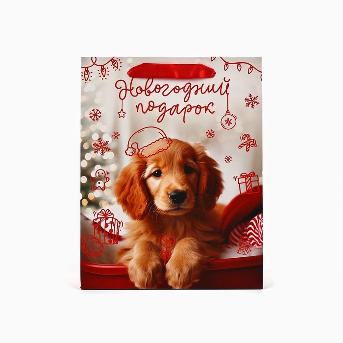 Пакет подарочный новогодний ламинированный &laquo;Новогодний подарок&raquo;, MS 18 х 23 х 10 см , Новый год