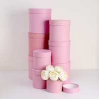 Набор круглых коробок 9 в 1 Пудра,23х23 - 13-13 см Набор круглых коробок 9 в 1 Пудра,23х23 - 13-13 см