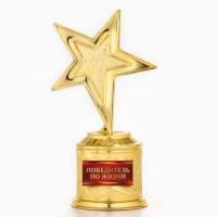 Кубок наградная фигура: звезда литая «Победитель по жизни» золото, пластик, 16 х 8,5 х 6 см. Кубок наградная фигура: звезда литая «Победитель по жизни» золото, пластик, 16 х 8,5 х 6 см.