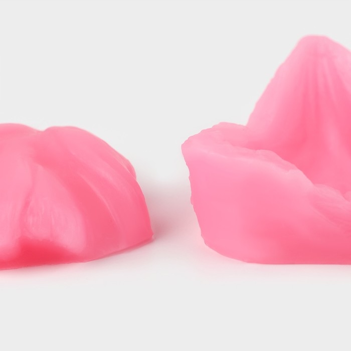 Молд «Листопад», силикон, 7,2×5,4 см, цвет МИКС Молд «Листопад», силикон, 7,2×5,4 см, цвет МИКС