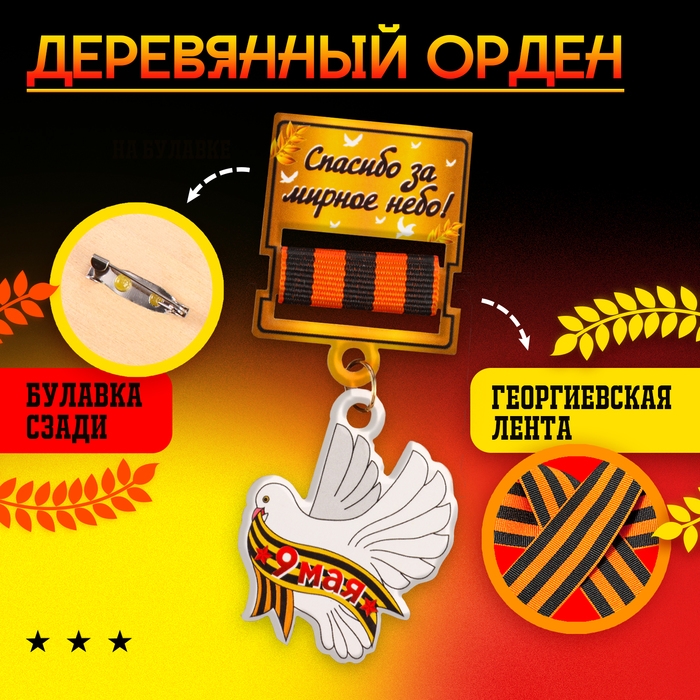 Карнавальный набор «На парад победы»: аксельбант, значок, цвет золотой Карнавальный набор «На парад победы»: аксельбант, значок, цвет золотой