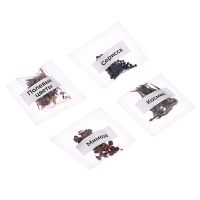 Набор для опытов «Моя мини-ферма» Набор для опытов «Моя мини-ферма»