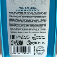 Гель для душа «Стойкость, Сила, Выдержка», 250 мл, аромат ледяной свежести, Новый Год Гель для душа «Стойкость, Сила, Выдержка», 250 мл, аромат ледяной свежести, Новый Год